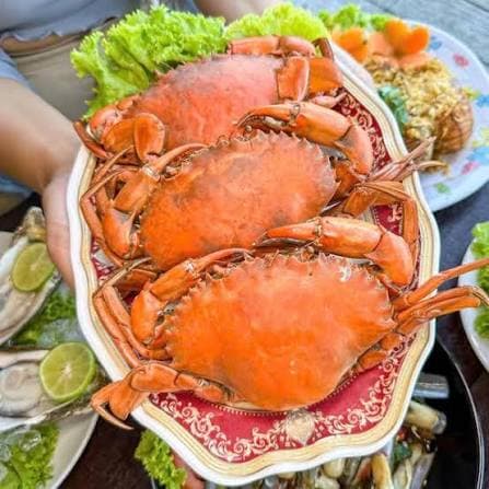 Vì sao không lạm dụng kháng sinh trong nuôi cua?